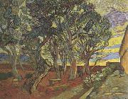 Vincent Van Gogh The Garden of Saint-Paul Hospital (nn04) Spain oil painting reproduction